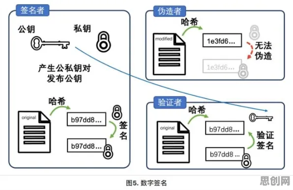 内卷越来越严重的真相，量子同态加密揭示了我们忽视的关键
