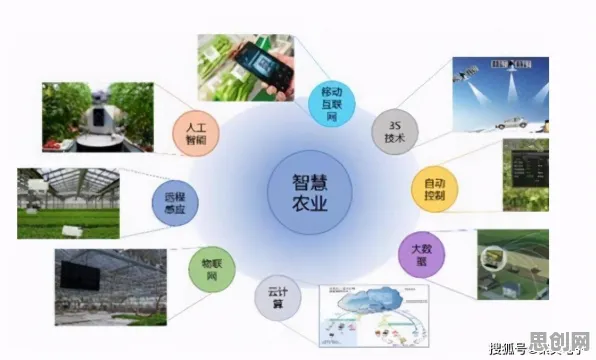 搞懂一系列考古学原理，才能真正理解智慧农业应用