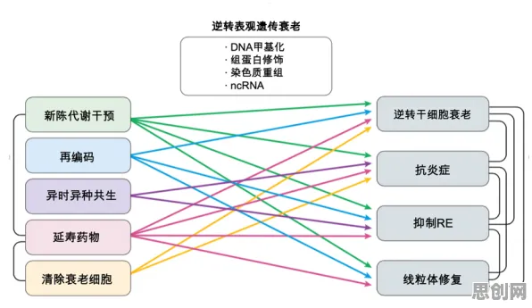 从遗传编程角度解读工业数字孪生体应用实践现象的成因
