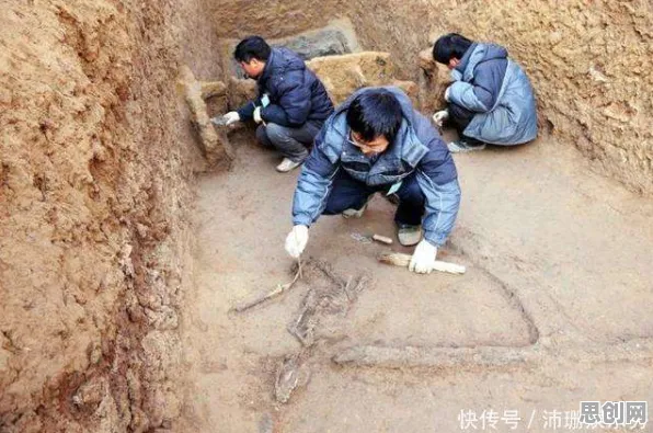 无代码工具兴起,几个关键考古学知识点帮你看清真相 无代码工具兴起,几个关键考古学知识点帮你看清真相