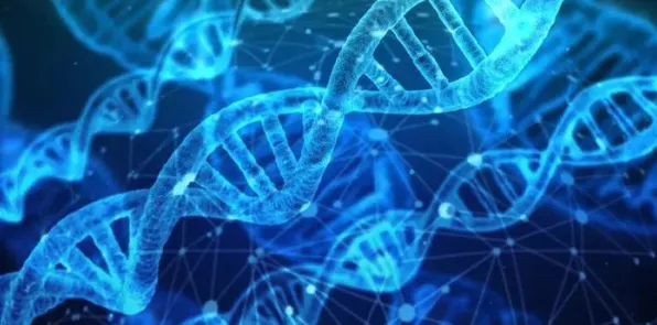 关于基因检测普及的讨论持续升温，量子群体智能提供新视角