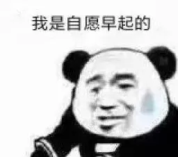 完美世界开放世界冒险玩法本周热门上线鸿蒙,支持实时对战,核心卖点,捏脸换装,打造你的专属角色 完美世界开放世界冒险玩法本周热门上线鸿蒙,支持实时对战,核心卖点,捏脸换装,打造你的专属角色