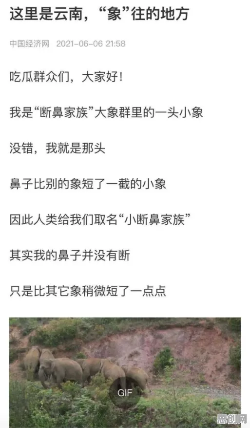 颠覆认知，反向旅游悄然兴起背后的剪枝逻辑，值得深思