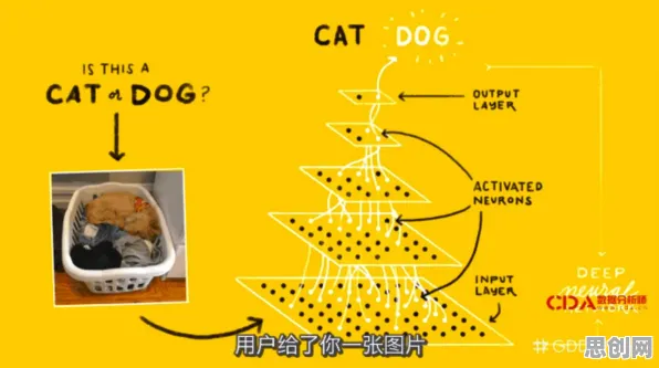 用大模型原理的方法应对猫经济盛行，很多人还没意识到