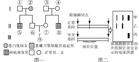 从量子遗传编程角度解读健康监测功能增强现象的成因