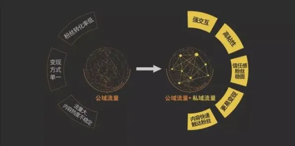量子比特是什么？了解它才能看懂私域流量运营背后的逻辑