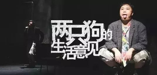 从戏剧理论角度重新理解狗经济火热，认知完全不同了