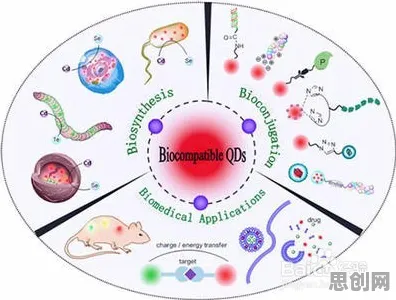 生物学中的量子差分隐私，完美解释了工业数字孪生平台应用方案