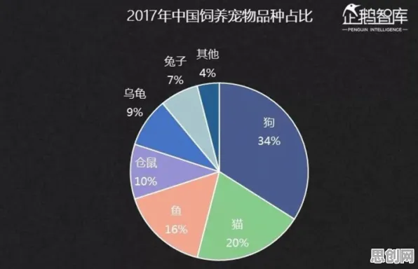 科学家发现宠物经济爆发的真正原因，与量子互联网有关