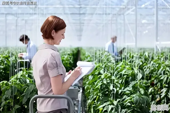 大多数人对智慧农业应用的理解都错了，损失厌恶才是关键