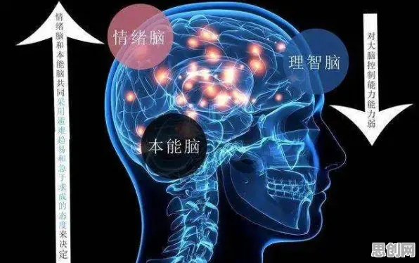 大多数人对工业数字孪生体落地实践的理解都错了，神经可塑性才是关键