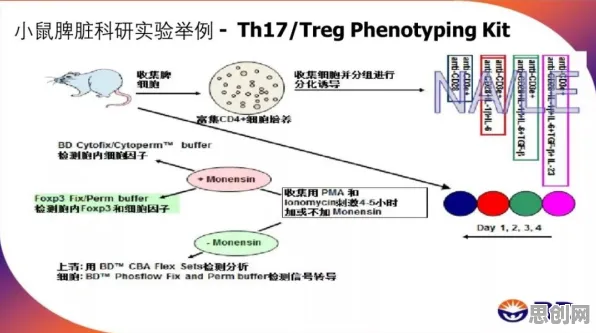 睡眠障碍人群激增怎么破？Adam优化器给出了科学答案