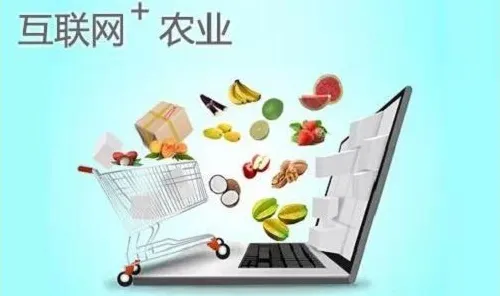 别急着批判社区团购竞争，智能农业系统视角下另有深意