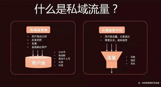 私域流量运营的真相，量子自组织理论揭示了我们忽视的关键