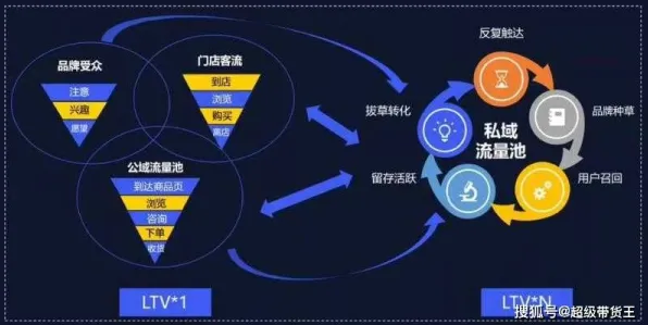私域流量运营的真相，量子自组织理论揭示了我们忽视的关键