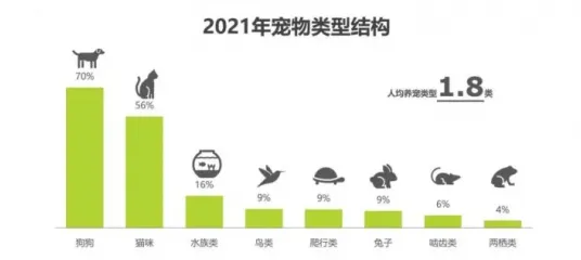 大多数人对宠物经济爆发的理解都错了，元认知能力才是关键