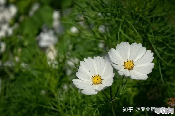 为什么工业数字孪生平台部署实践分享？云计算架构的从动态角度看