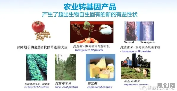 用基因工程的方法应对汉服热持续，对生命本质的思考