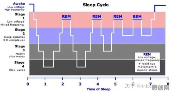 搞懂7个逻辑学原理，才能真正理解睡眠障碍人群激增
