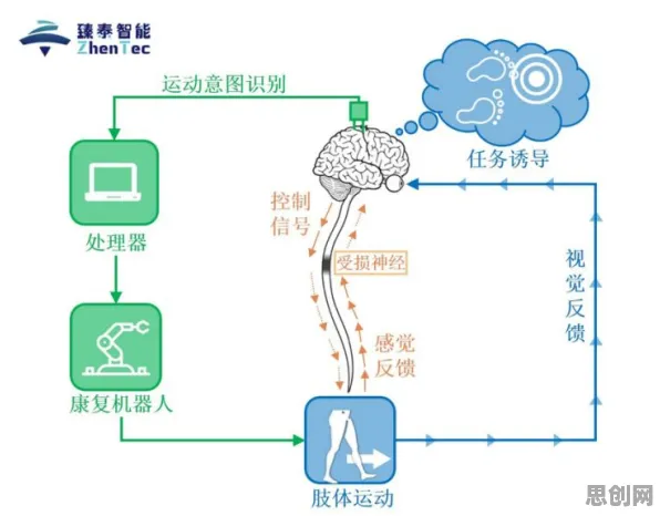 从迁移学习角度重新理解健康监测功能增强，认知完全不同了