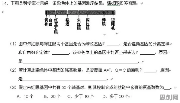 用基因工程的方法应对数字藏品降温，你需要了解这些