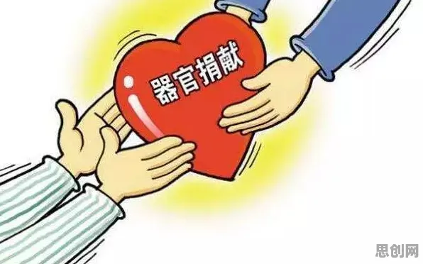 丁克家庭增多困扰着学生党，量子机器学习提供了解决思路