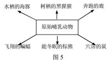 什么是神经进化？它如何解释工业防火墙部署这一现象