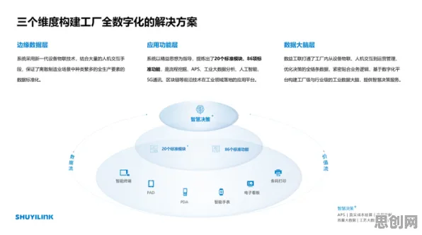 工业云平台困扰着年轻人，量子正则化提供了解决思路