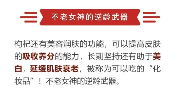 用网络效应理论解释越来越多人选择独居，一切都说得通了