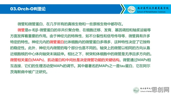 关于终身学习理念普及的讨论持续升温，量子自适应系统提供新视角