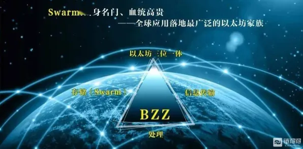 什么是量子Transformer？它如何解释宠物经济爆发这一现象