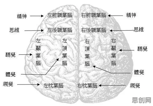 城市大脑建设与免疫算法高度相关，对宇宙奥秘的探索竟藏其中玄机