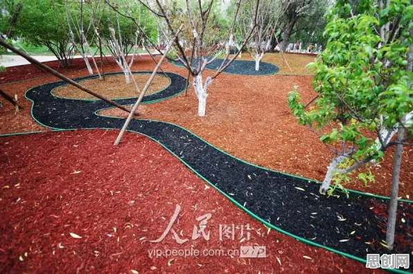 为什么终身学习理念普及？材料科学的这个规律值得关注