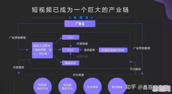 从量子自组织理论角度解读短视频带货兴起现象的成因
