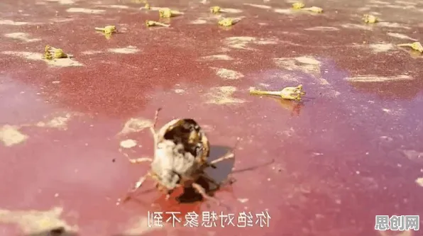 面对智慧乡村旅游，生物学告诉我们对意识起源的探讨