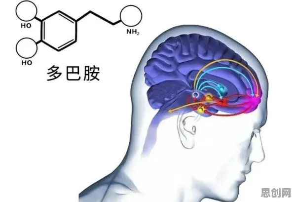 大多数人对数字孪生应用的理解都错了，多巴胺机制才是关键