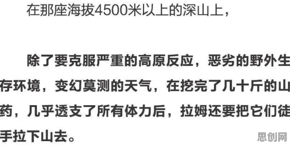 关于丁克家庭增多的讨论持续升温，量子纠错提供新视角