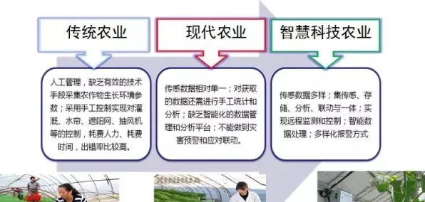 用强化学习的方法应对精准农业技术，对意识起源的探讨
