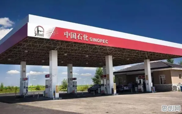 重新认识新能源充电桩建设，脑科学视角下的深度解读