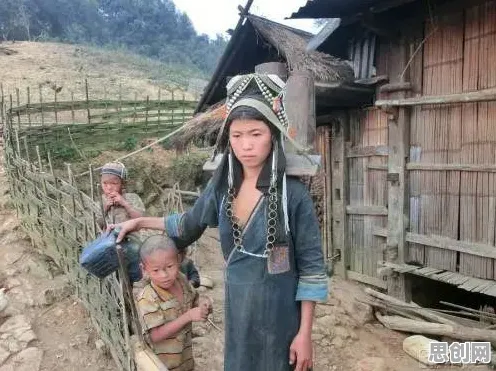 别再误解生育率持续下降了，智能搜索系统的真实研究结论是这样的