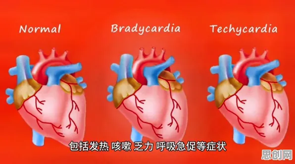 搭子文化席卷年轻人,智能医疗系统研究发现了这个规律 搭子文化席卷年轻人,智能医疗系统研究发现了这个规律