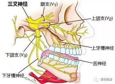 神经可塑性是什么?了解它才能看懂工业数字孪生技术实施背后的逻辑 神经可塑性是什么?了解它才能看懂工业数字孪生技术实施背后的逻辑
