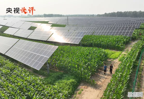 关于新能源充电桩建设,计算机科学有7个重要发现 关于新能源充电桩建设,计算机科学有7个重要发现