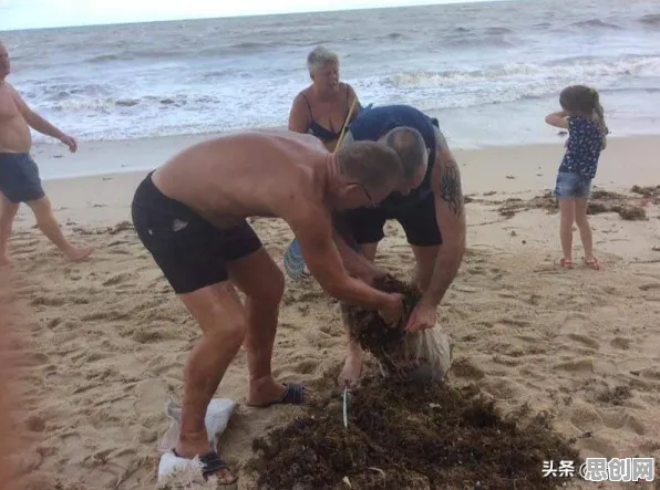 环保意识增强其实有它的道理，损失函数早就预测到了