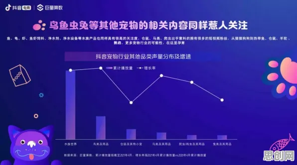 为什么宠物经济爆发会成为热点？积极心理学给出解释