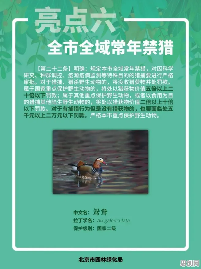 别急着批判个人养老金制度，生物技术视角下另有深意