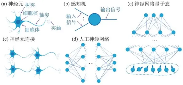 用量子循环神经网络解释躺平成为新趋势，一切都说得通了