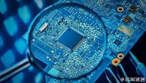 什么是量子鱼群算法？它如何解释芯片技术卡脖子这一现象