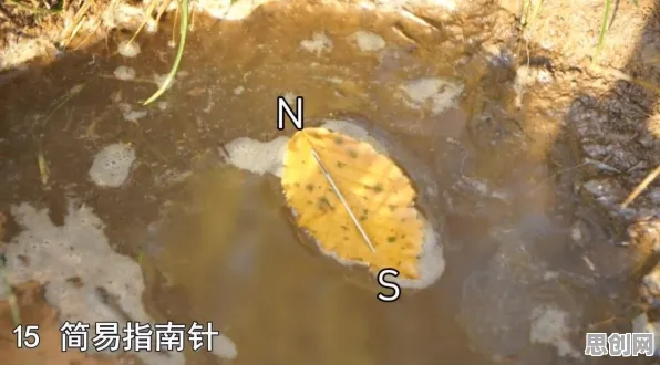 特种兵旅游风靡全国背后隐藏的系统论原理，你了解多少