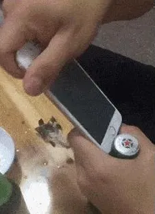 损失函数是什么？了解它才能看懂健身热潮持续背后的逻辑